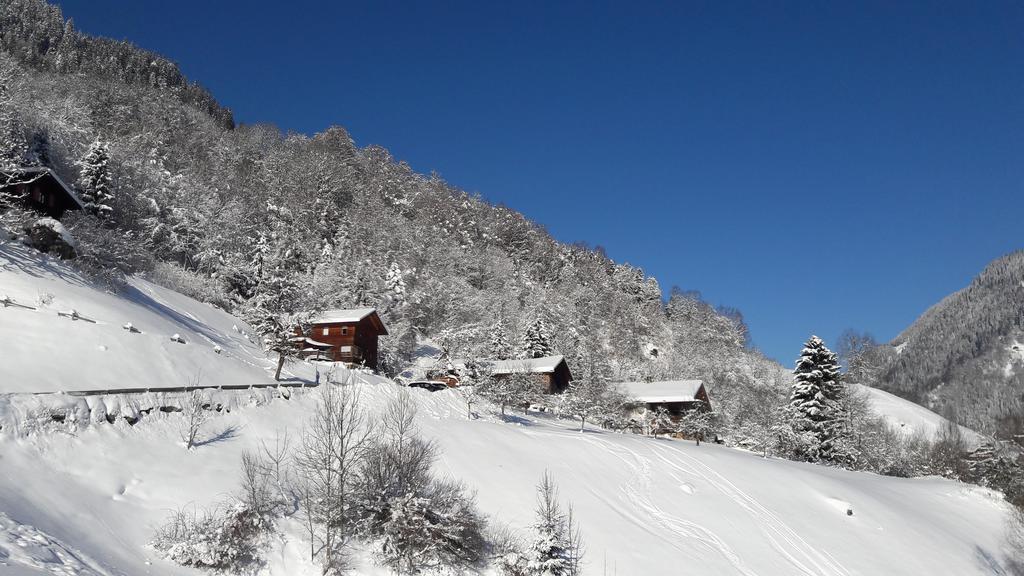 Apartmán Haus Inge Sankt Gallenkirch Exteriér fotografie